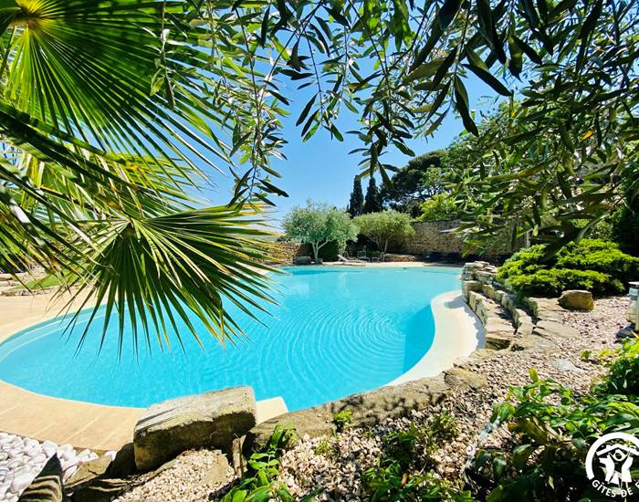 Piscine privée partagée avec tous nos hôtes