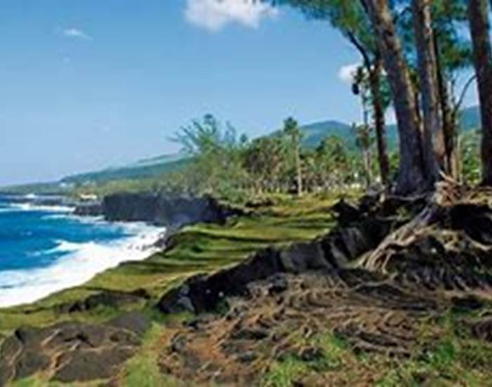 sud sauvage