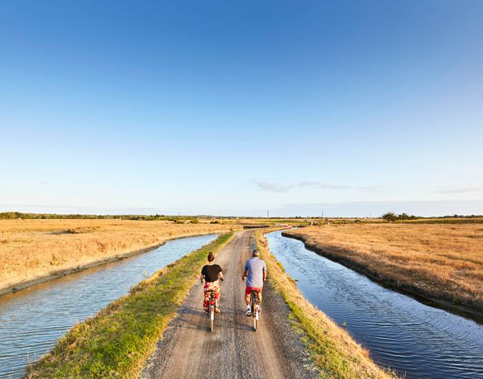 Copyright Alexandre Lamoureux Marais Breton Vendéen