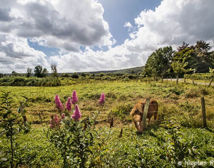 campagne