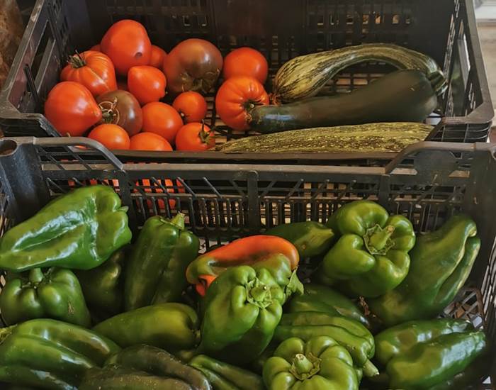 Venez savourer nos légumes du potager gorgés du soleil du Sud