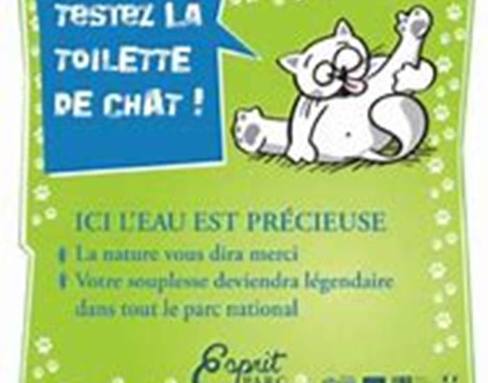 Sans titre