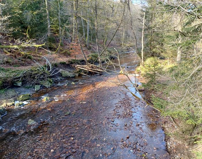 Balade du Pont de Belleheid