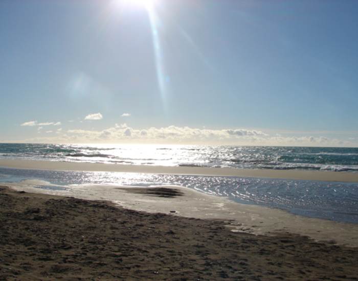 DSC00116