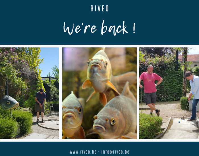RIVEO we are back