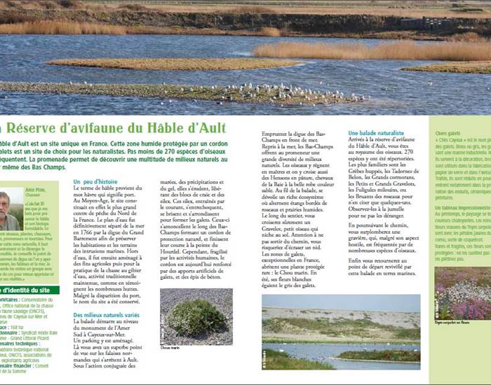 la réserve du Hâble d'Ault à Cayeux sur Mer