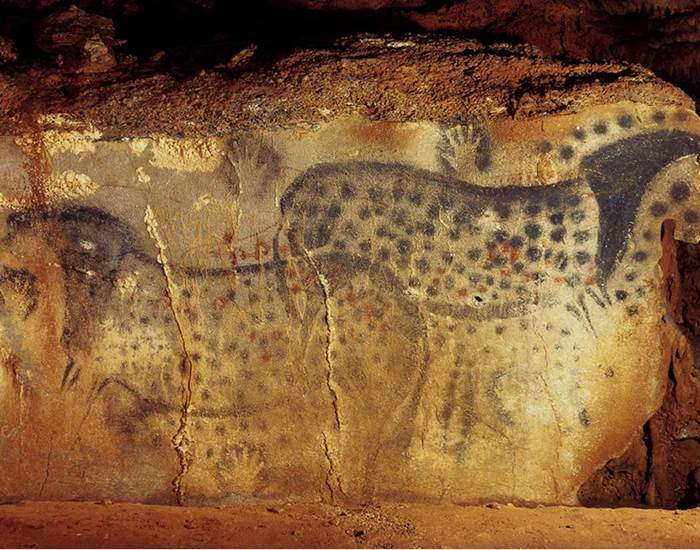 Patrimoine et paleonthologie