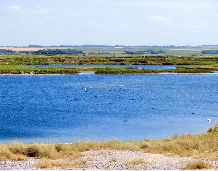 photo de la réserve du Hâble d'Ault à Cayeux sur Mer