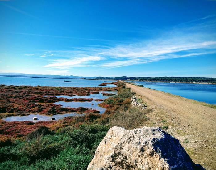 Balade en pleine nature