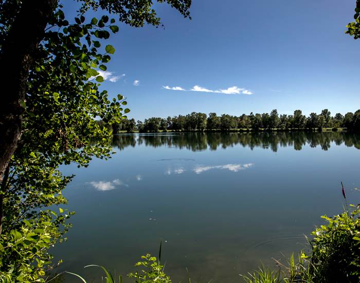 Les lacs de Laives