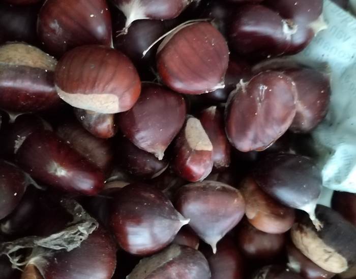 Fête de la châtaigne