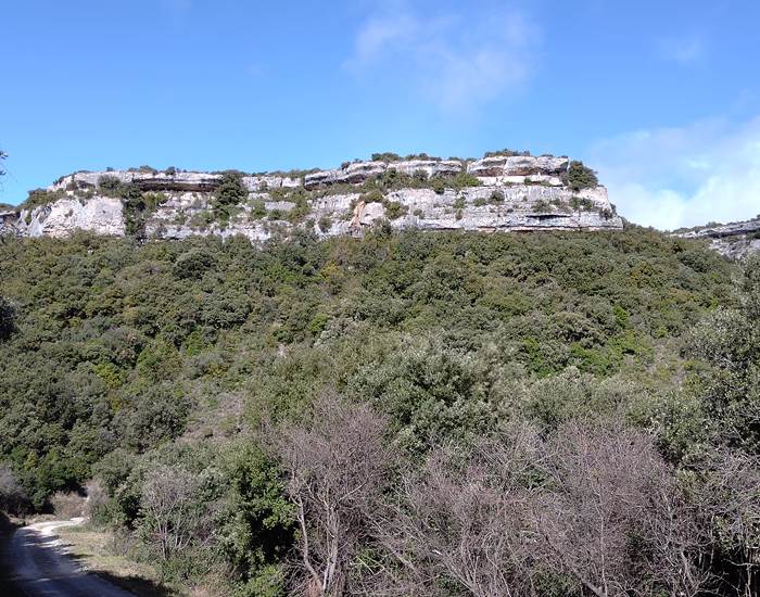 Minerve et ses falaises