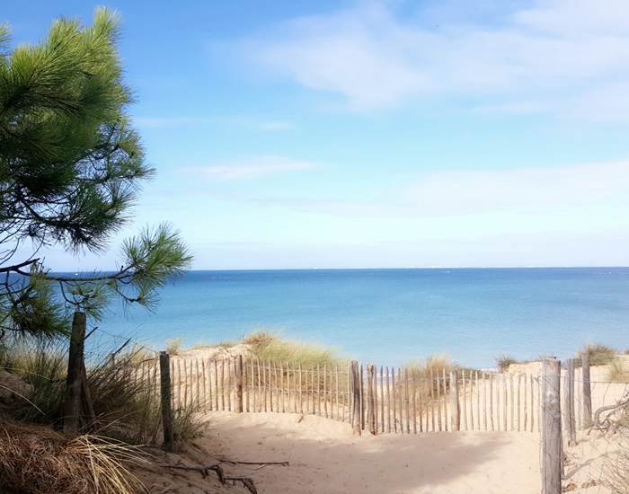 Forêt de La Coubre - La Palmyre