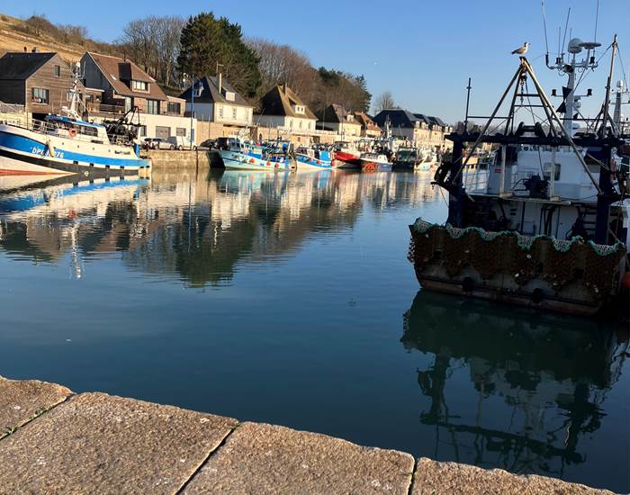 Un paysage côtier normand