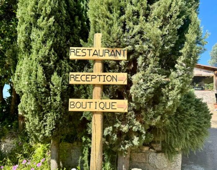 Sans titre