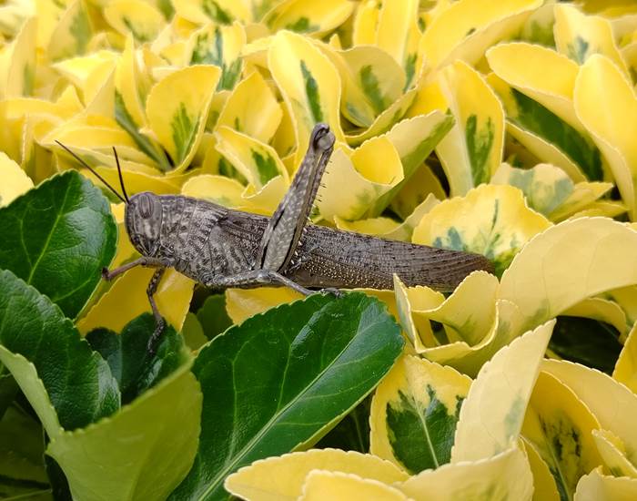 C'est l'été et je suis de retour ☀️☀️☀️