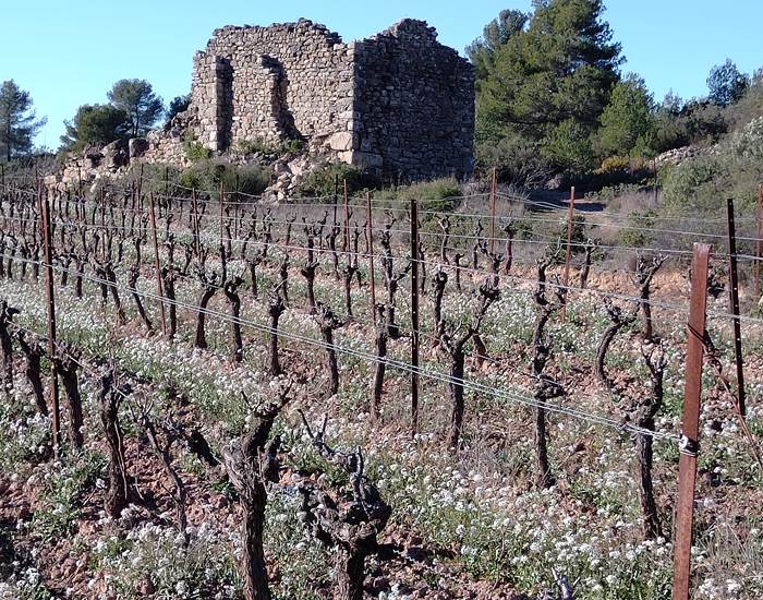 Superbe randonnée alliant nature et histoire de Mailhac