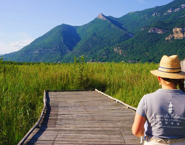 Promenade paisible sur le sentier sur pilotis des Marais de Lavours, dans le Bugey (Ain, Auvergne-Rhône-Alpes). Une expérience immersive au cœur de la nature, à seulement quelques kilomètres du Manoir du Colombier. Idéal pour une sortie en famille, à 1 heure de Genève et Annecy, et 1 heure 20 de Lyon