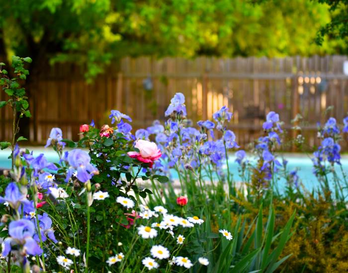 Jardin du Mas des Bories