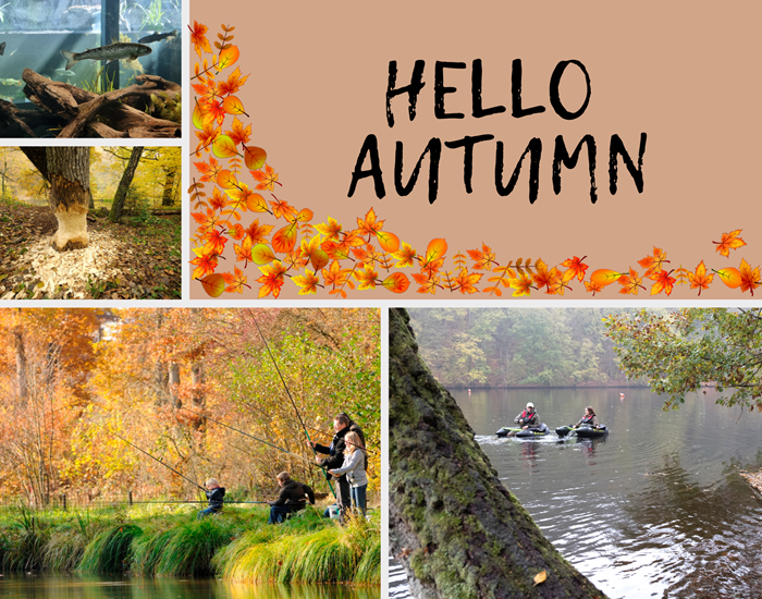 RIVEO news autumn