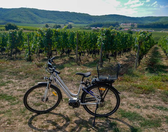 Vinocycle au Clos Triguedina Lot Tourisme - C. Seguy