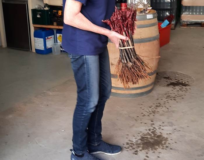 Juliet explique avec passion la vigne