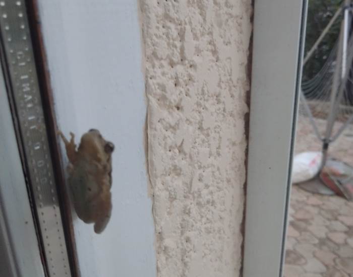 Retour à la nature à Le Coq du Nord-Mailhac gîte et chambres d'hôtes