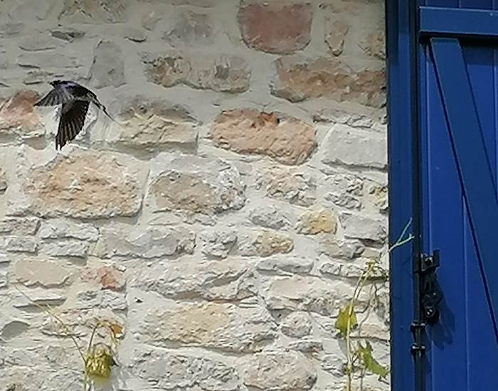 Sans titre