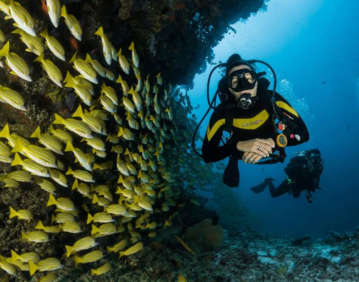 Centre de plongée Blue Life Diving