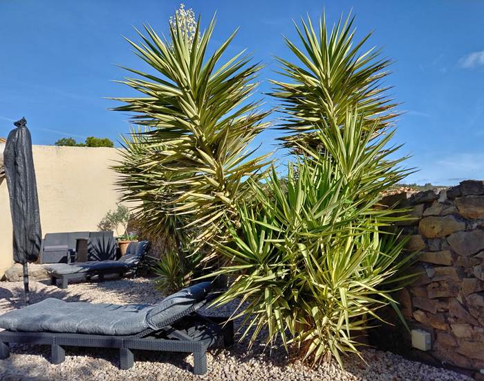 Détente totale à Le Coq du Nord-Mailhac