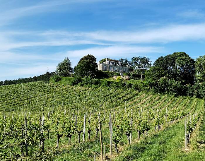 Château Mazeris Bellevue