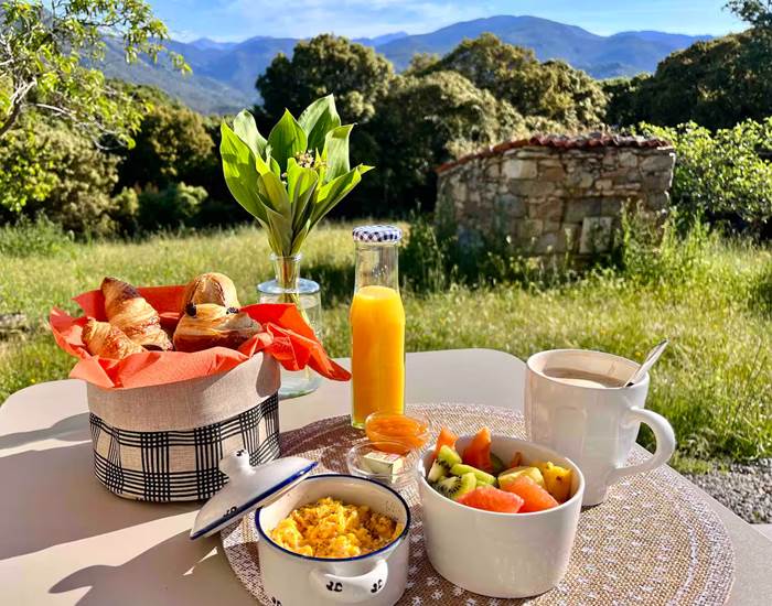 Petit-déjeuner en plein air avec vue sur la montagne