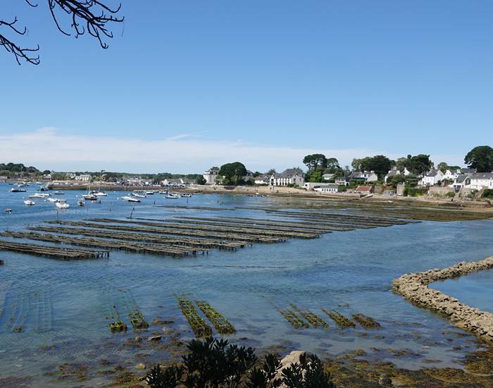 Larmor Baden