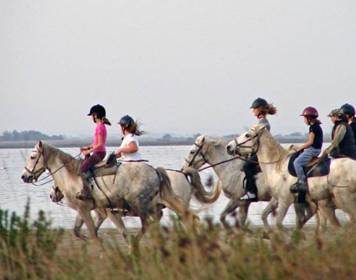 promenade à cheval à proximité