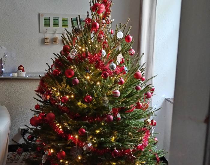 Mon beau sapin....