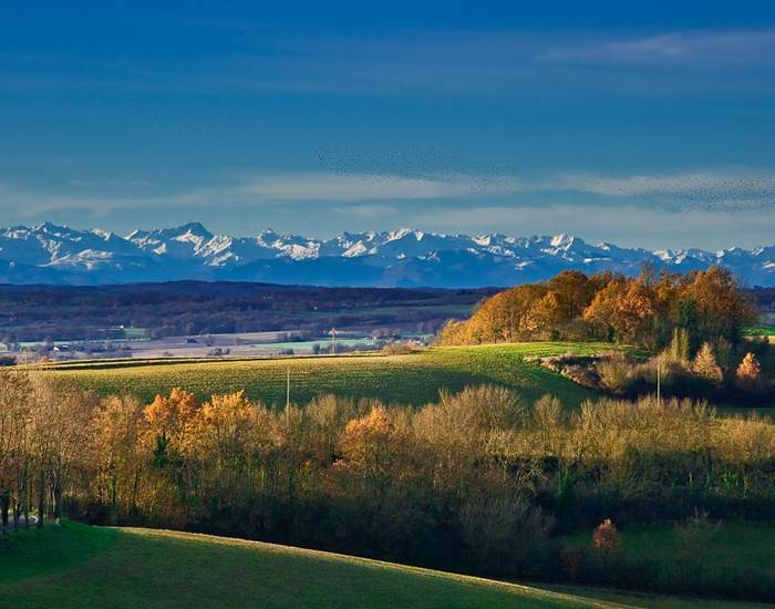 Beauté du Gers