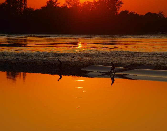 Vignoble, Bio, Biodynamie, Nature, Vins, Domaine, Visite, Dégustation, Mascaret, Sunset