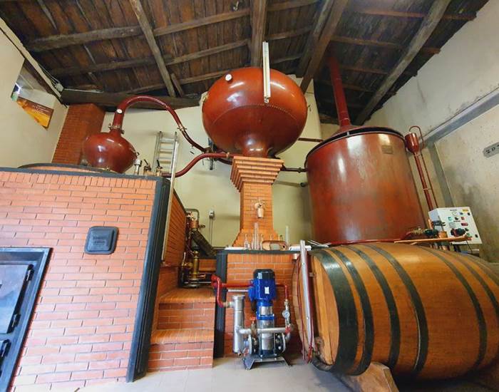 Le Domaine de la Chevalerie - Vignoble Pelletant