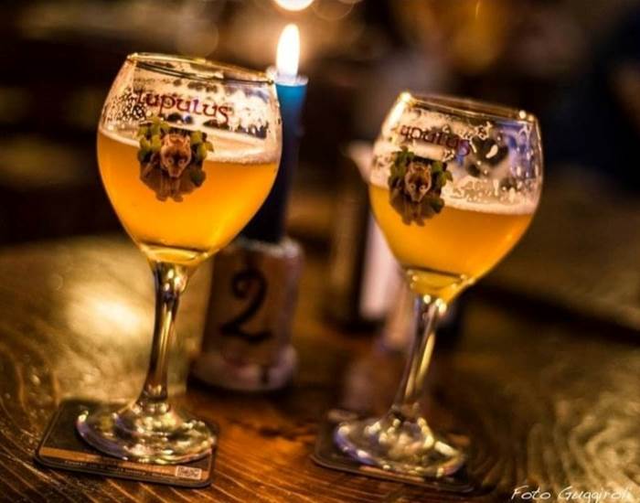 Brasserie Lupulus