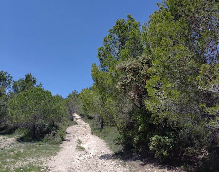 de belles randonnées dans le Minervois