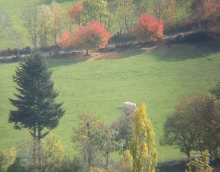 Couleurs d'automne