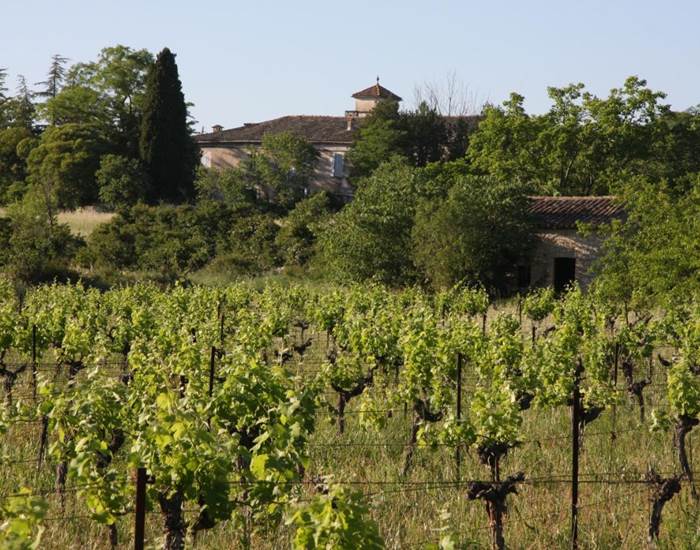 Mas Pigné Domaine Viticole-page
