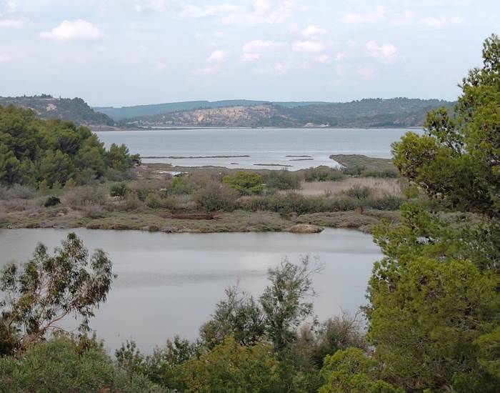 Superbe vue à la Réserve Africaine de Sigean