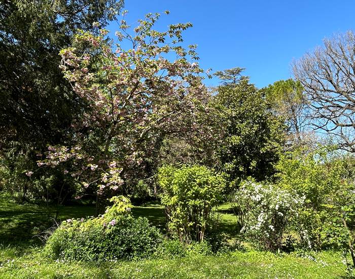 La nature au coeur du Domaine de Lanis