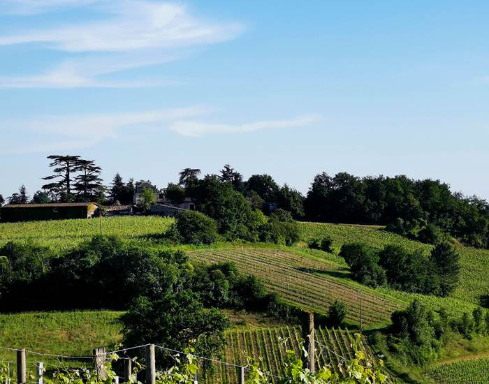 Cotaux de la Dordogne