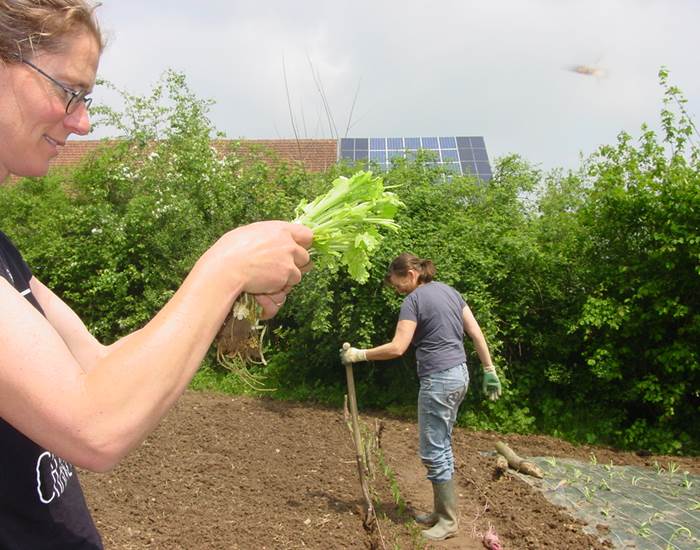 les légumes de notre table d'hote