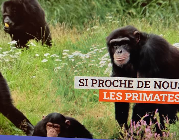 Le Monde Sauvage