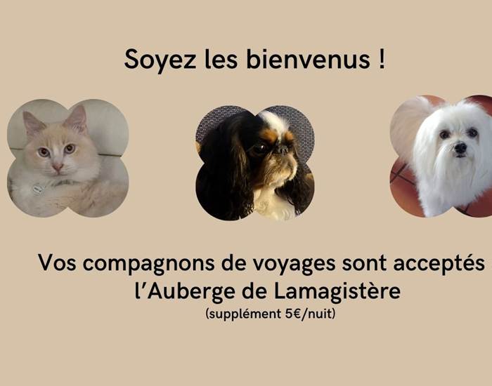 ANIMAUX ACCEPTES