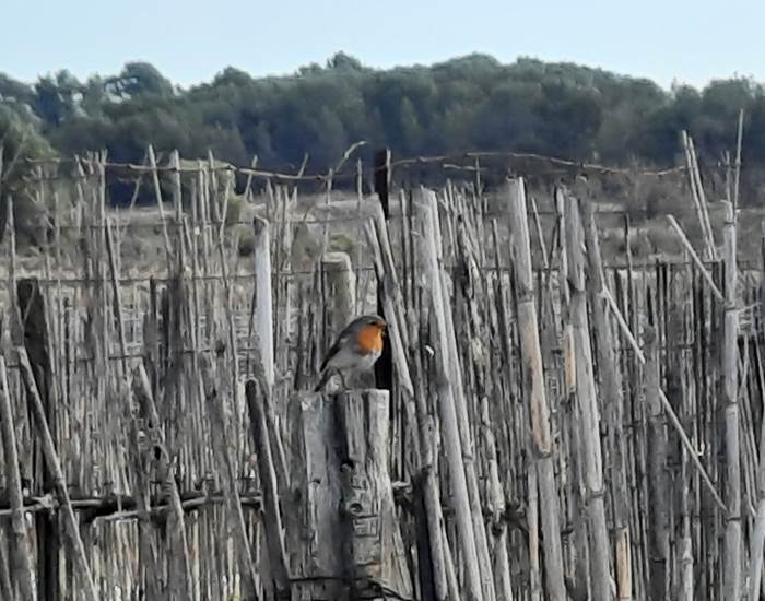 une nature préservée pour un séjour romantique
