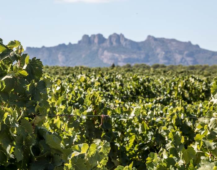 Domaine de Marchandise